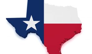 State of Texas image
