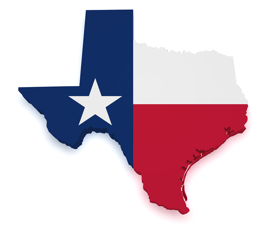 State of Texas image
